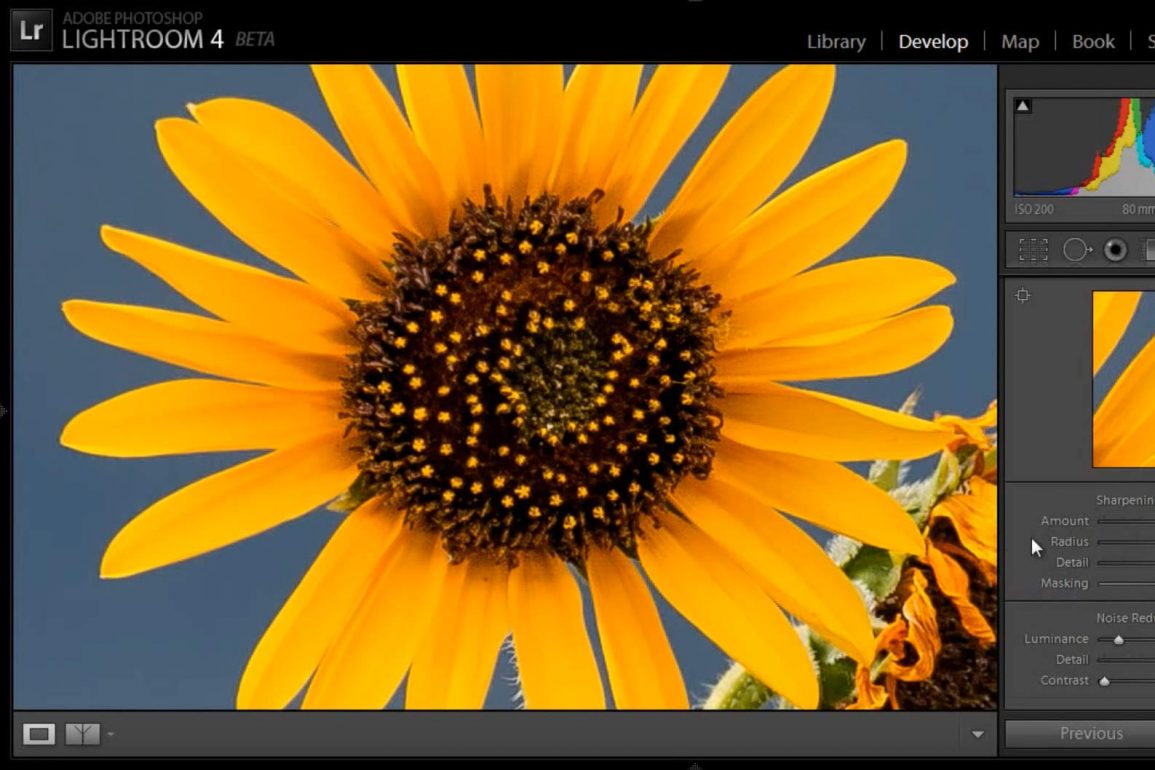 Sharpening Photos in Lightroom 4 and Adobe Camera RAW Light And Matter