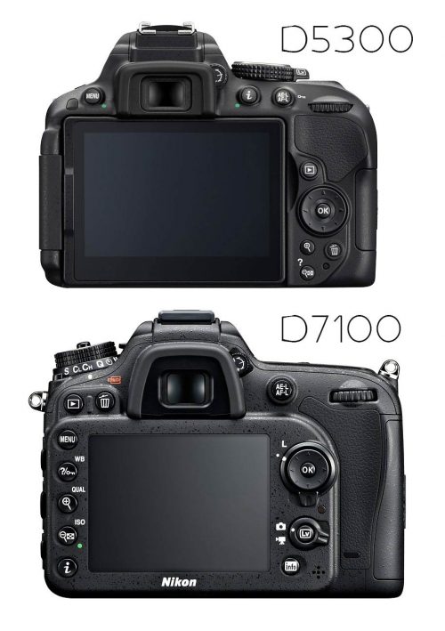 Nikon D5300 vs D7100 : Which Should You Buy? - Light And Matter