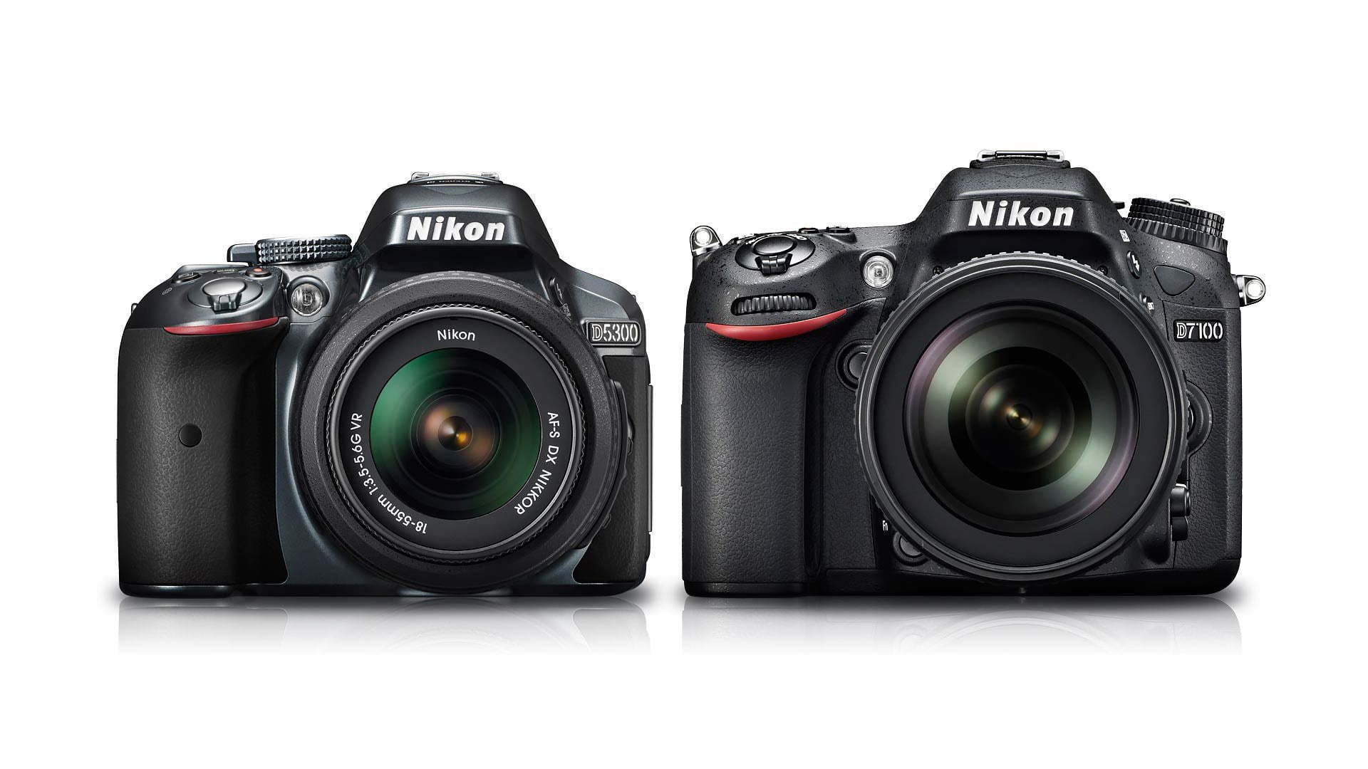 Nikon D5300 vs D7100 : Which Should You Buy? - Light And Matter