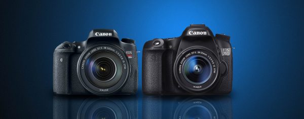 Canon T6s vs 70D: Which Should You Buy? - Light And Matter