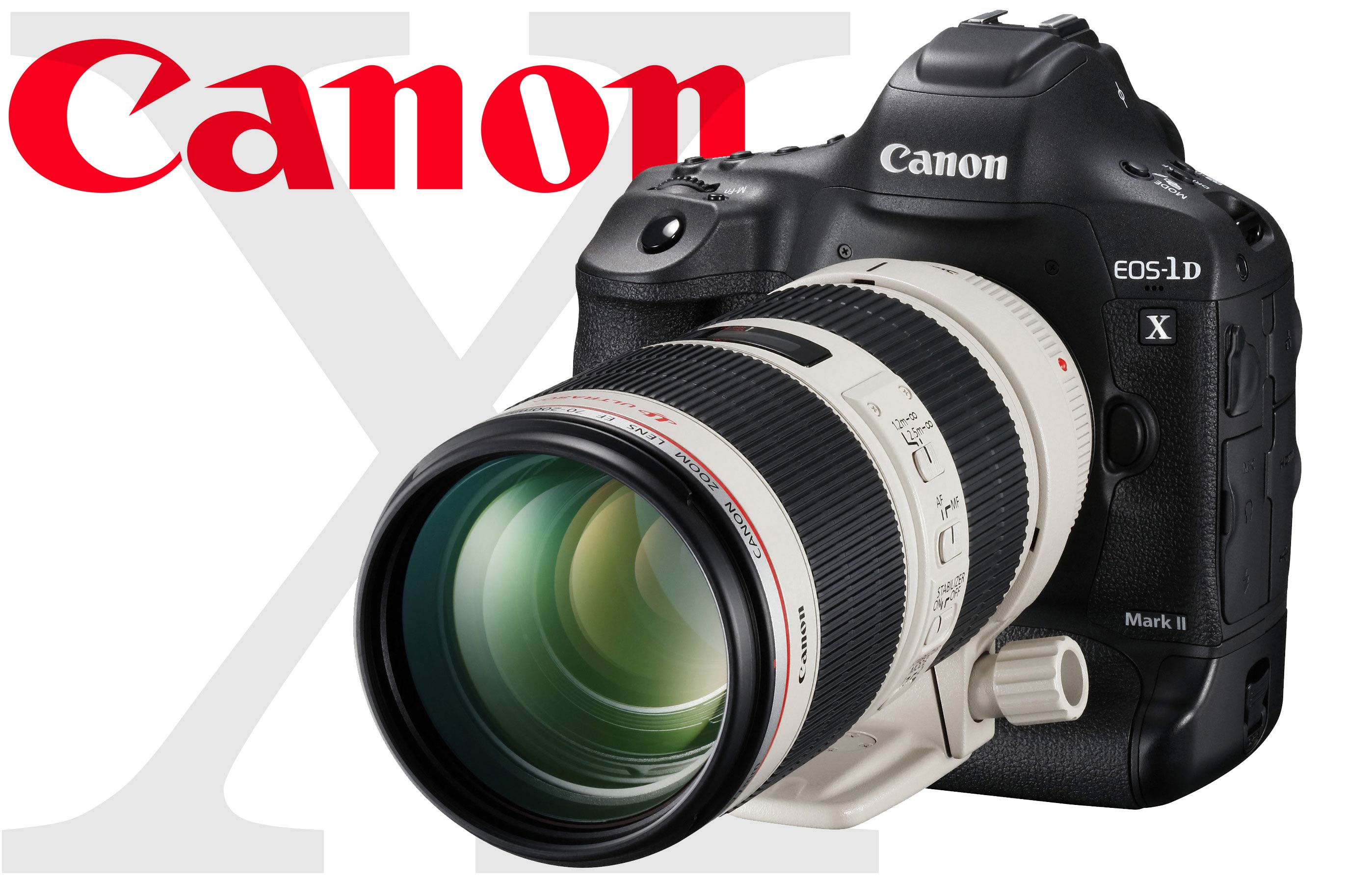 Canon 1dx Raw File Size