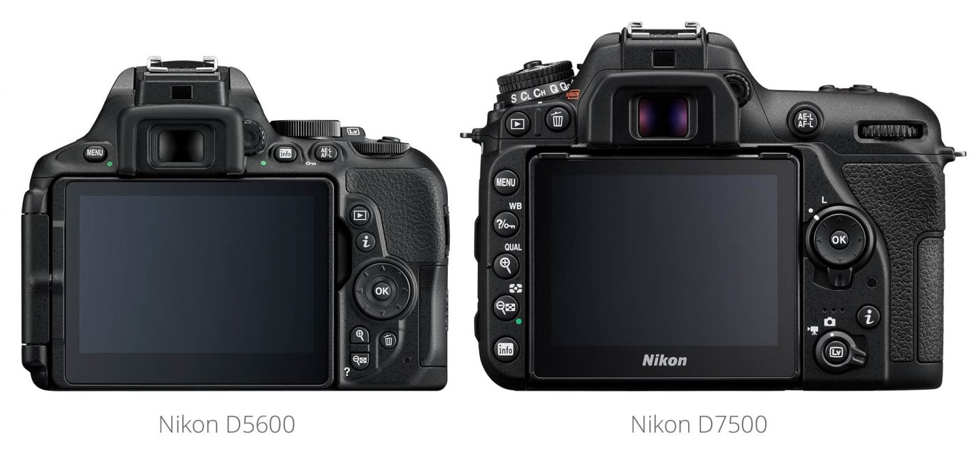 nikon-d5600-and-d7500-back-view - Light And Matter