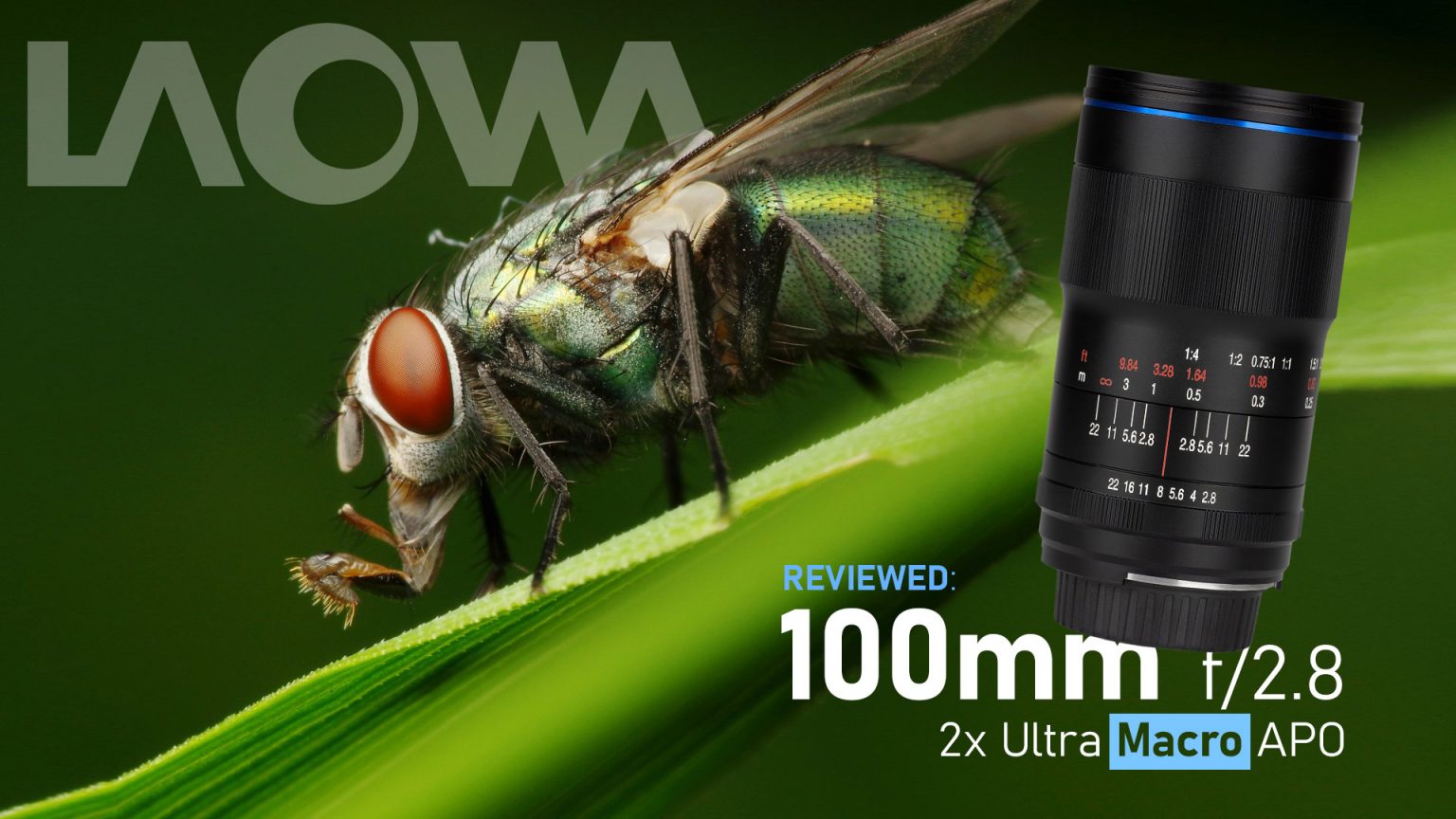 Laowa 100mm f/2.8 2x Ultra Macro Review - Light And Matter